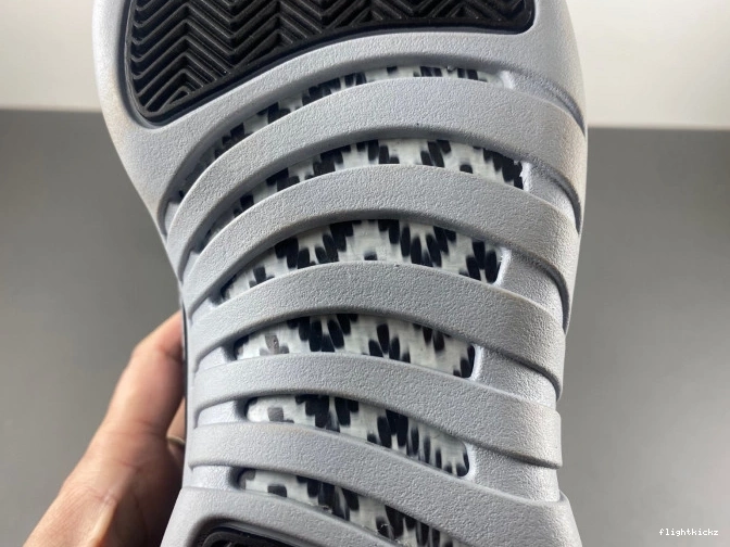 Air Barons Jordan CT8013-010 12 0723